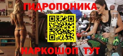 spice Кунгур